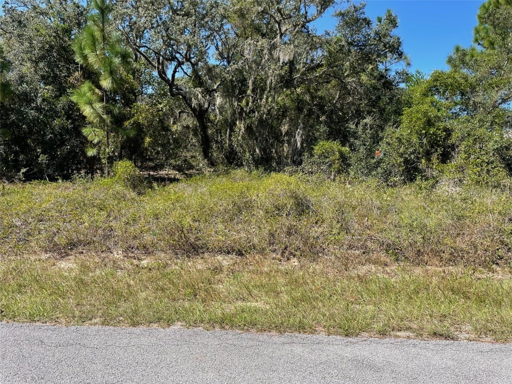 LOT 2 SW Winding Hills Road Dunnellon FL 34431 OM711330 image2