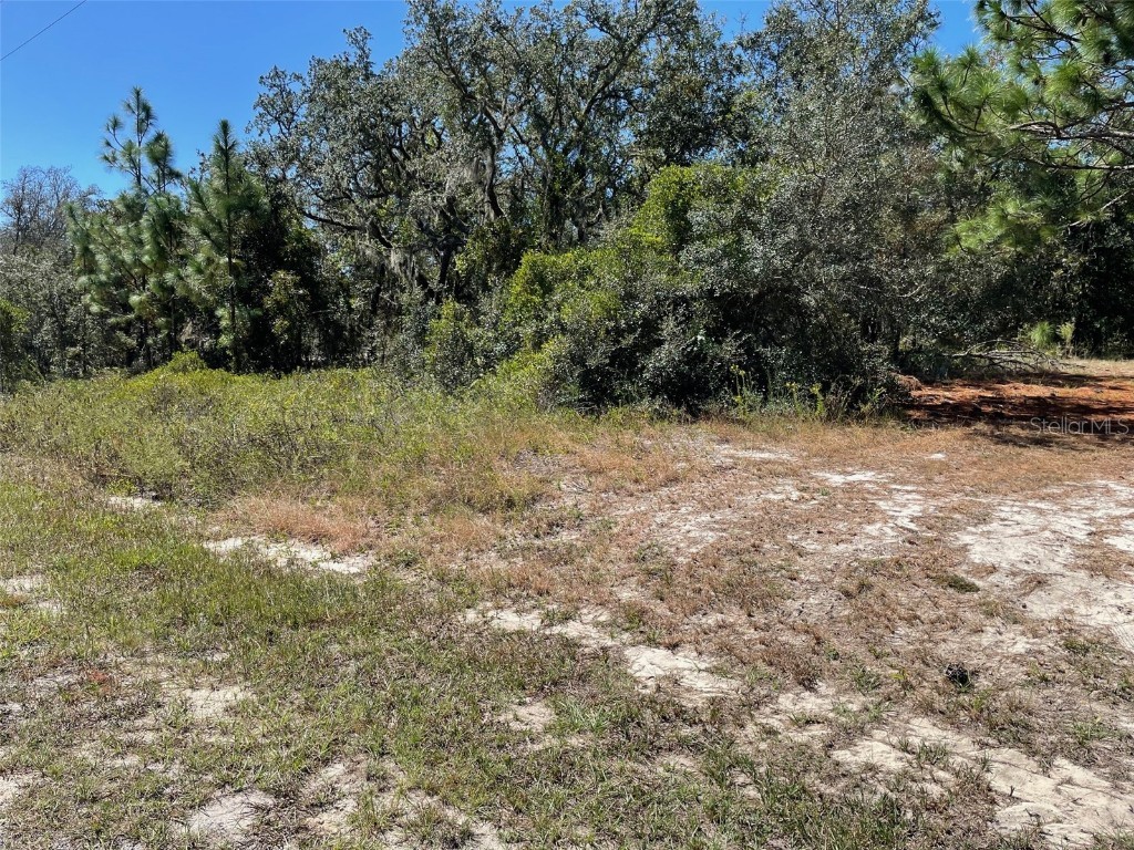 LOT 2 SW Winding Hills Road Dunnellon FL 34431 OM711330 image3