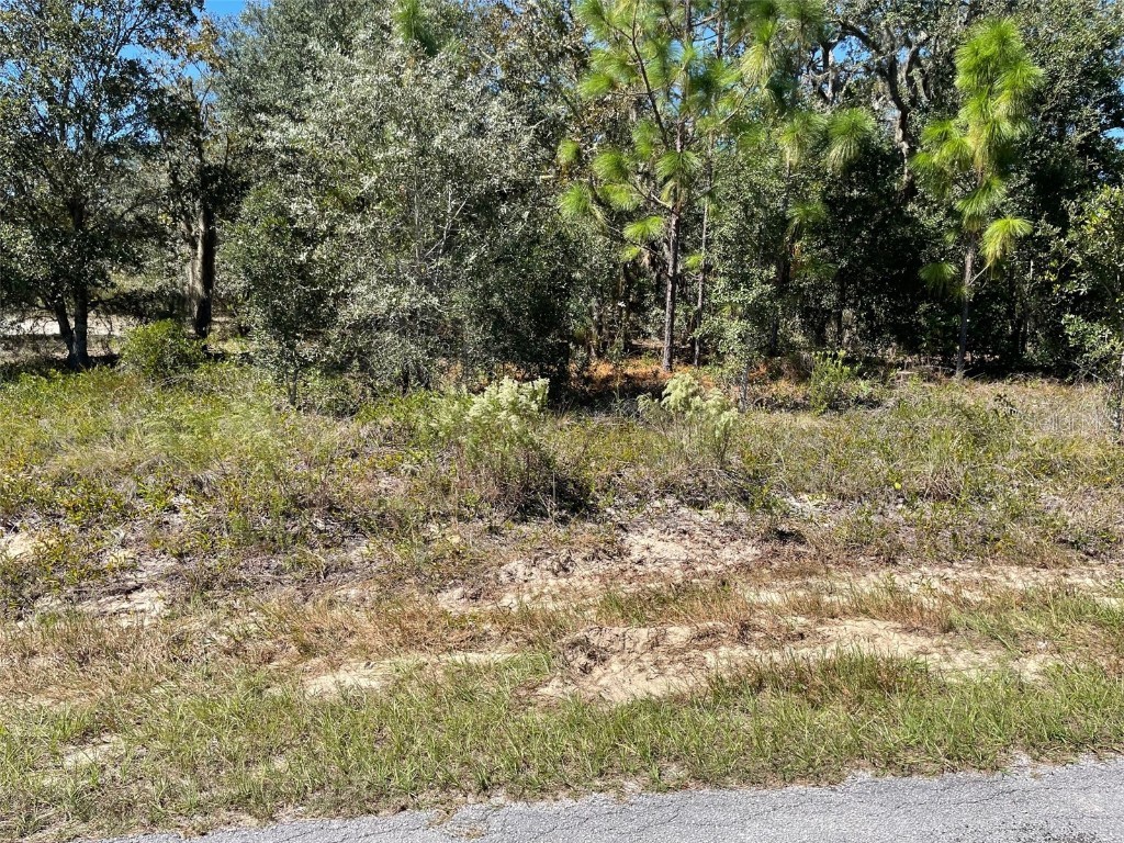 LOT 2 SW Winding Hills Road Dunnellon FL 34431 OM711330 image4
