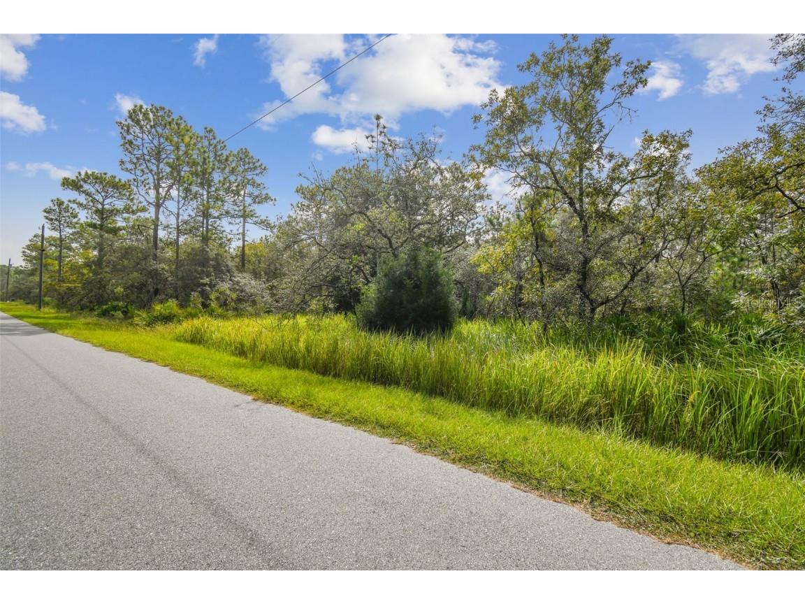 LOT 2 Wood Owl Avenue Weeki Wachee FL 34614 W7858416 image1