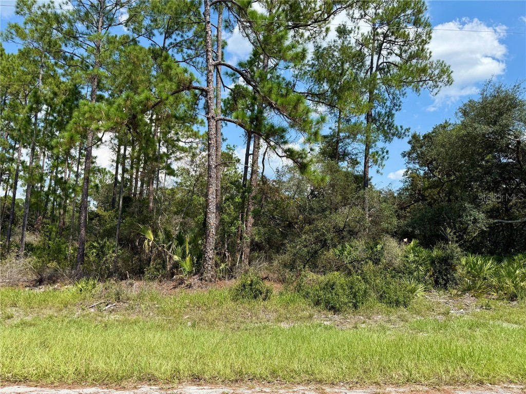 LOT 20 Balsam Street Eustis FL 32736 - LAKE NORRIS G5101318 image1