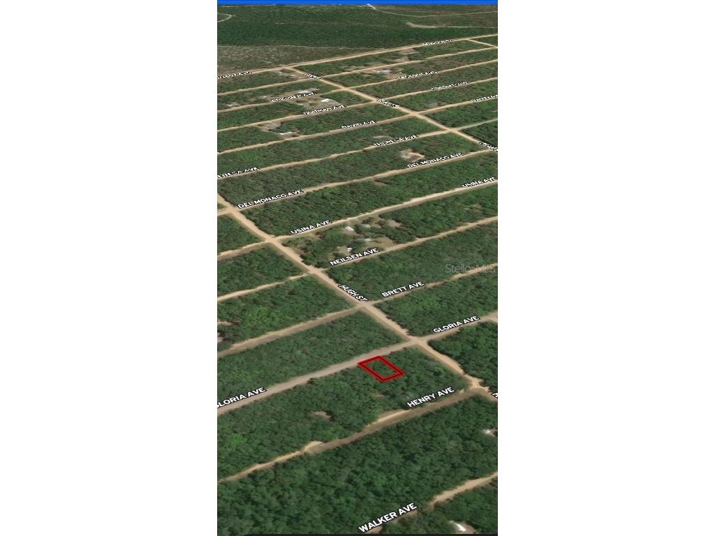 LOT 20 Gloria Avenue Interlachen FL 32148 OM710361 image2