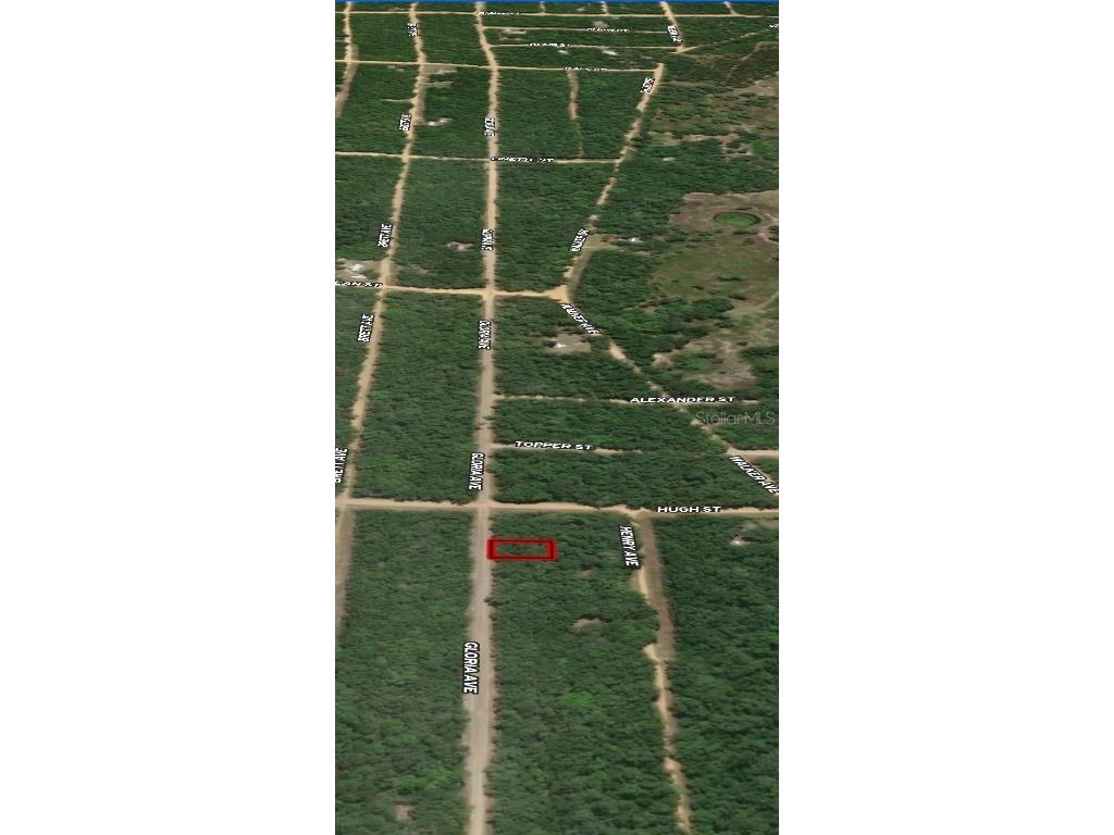 LOT 20 Gloria Avenue Interlachen FL 32148 OM710361 image4