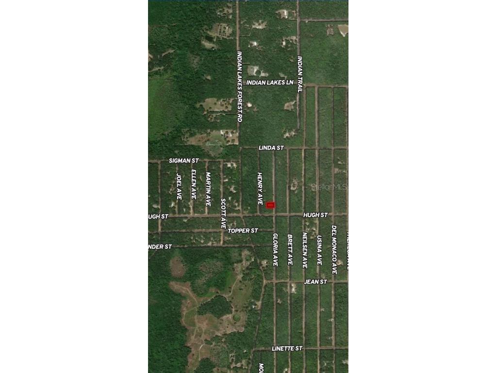 LOT 20 Gloria Avenue Interlachen FL 32148 OM710361 image5
