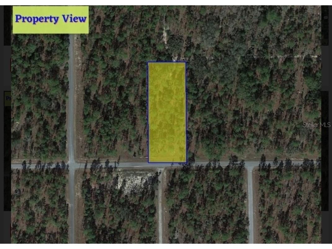 LOT 20 SE 105th Lane Dunnellon FL 34431 OM666323 image1