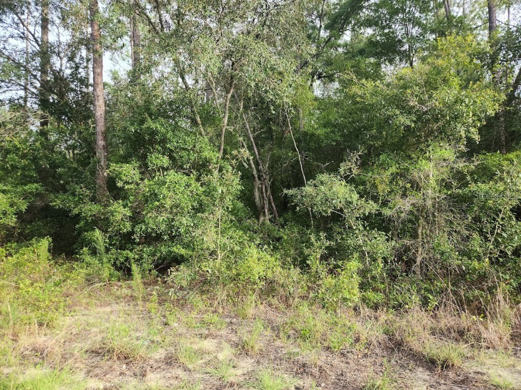 LOT 20 SW Rainbow Lakes Boulevard Dunnellon FL 34431 OM706768 image10