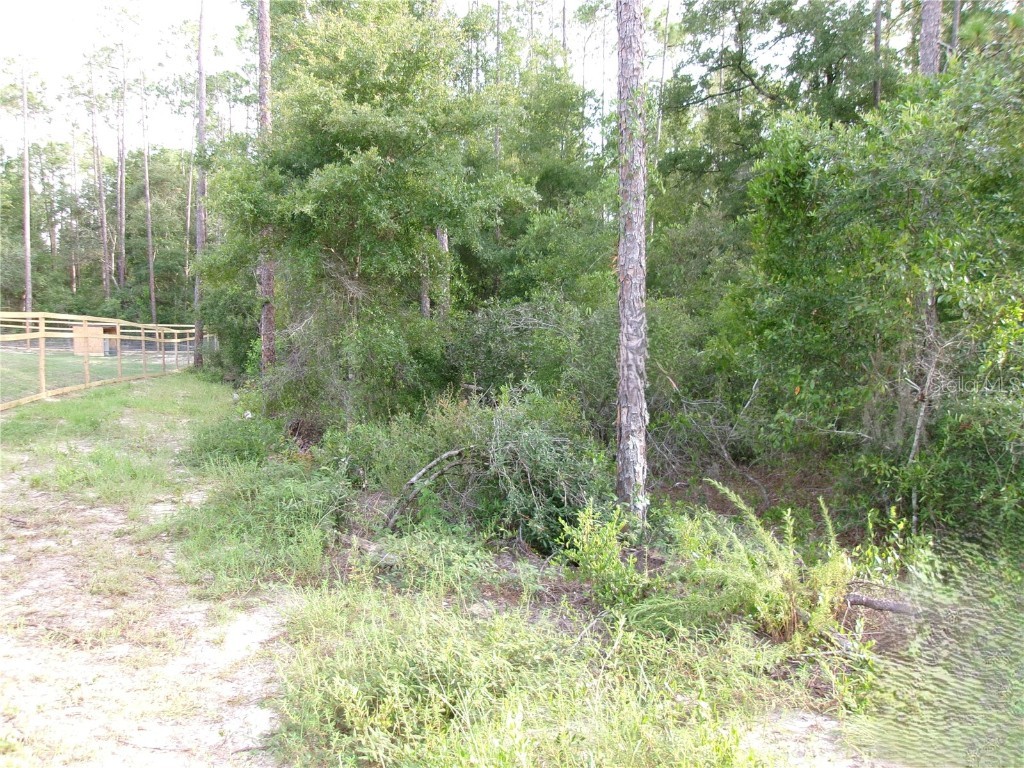 LOT 20 SW Rainbow Lakes Boulevard Dunnellon FL 34431 OM706768 image5