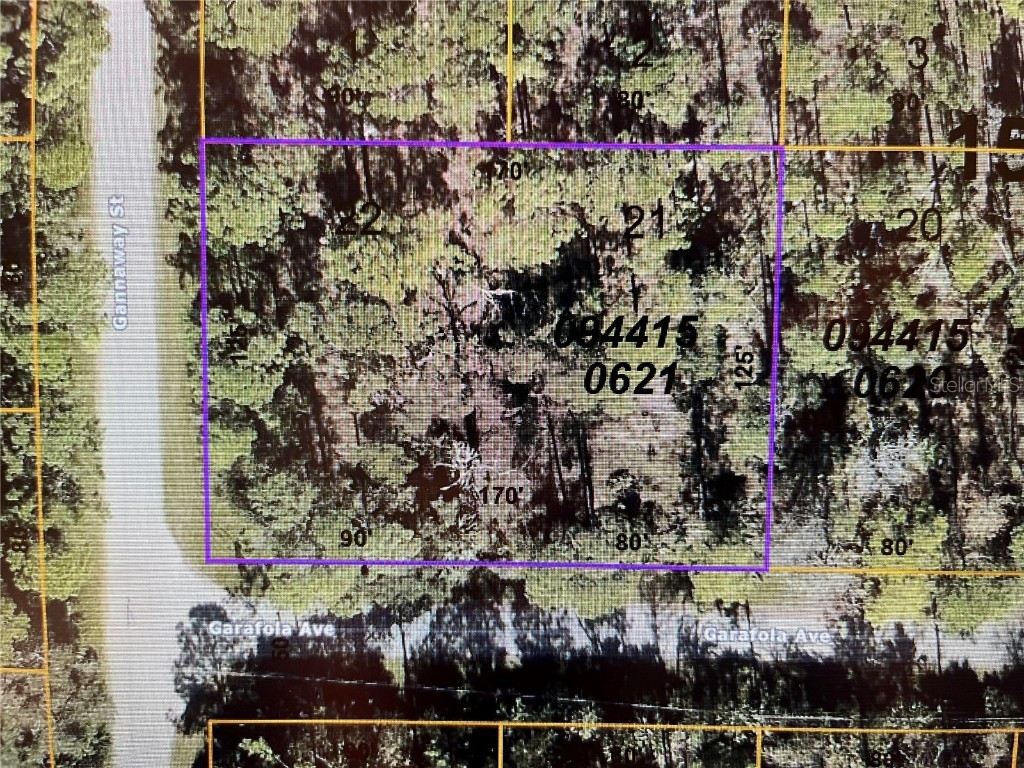 LOT 21 & 22 Garafola Avenue North Port FL 34291 N6133724 image1