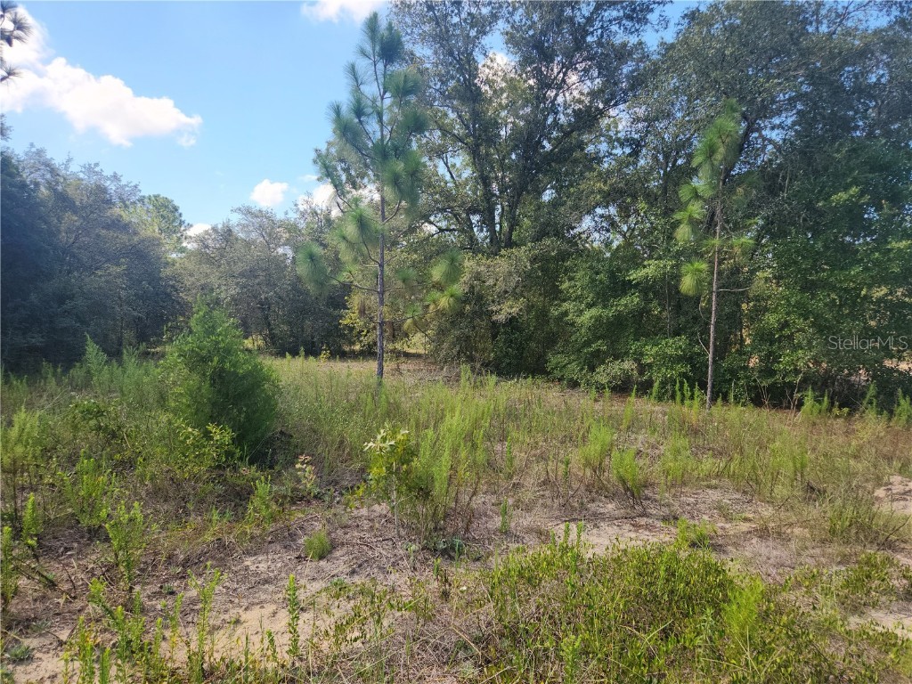 LOT 21 SW Rainbow Lakes Boulevard Dunnellon FL 34431 OM707255 image1
