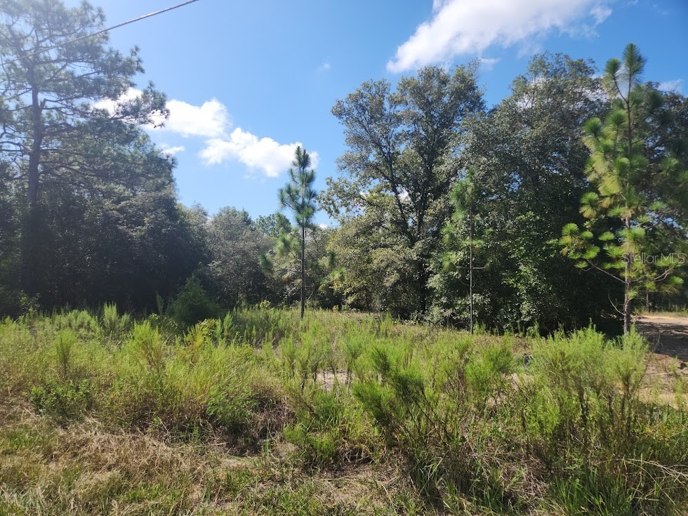 LOT 21 SW Rainbow Lakes Boulevard Dunnellon FL 34431 OM707255 image12
