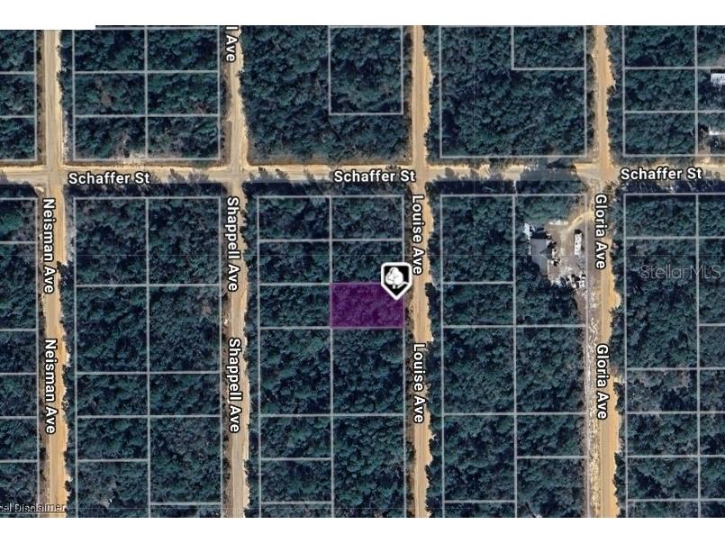LOT 22 Louise Avenue Interlachen FL 32148 OM711489 image1