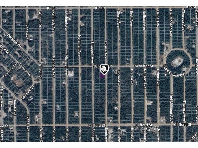 LOT 22 Louise Avenue Interlachen FL 32148 OM711489 image2