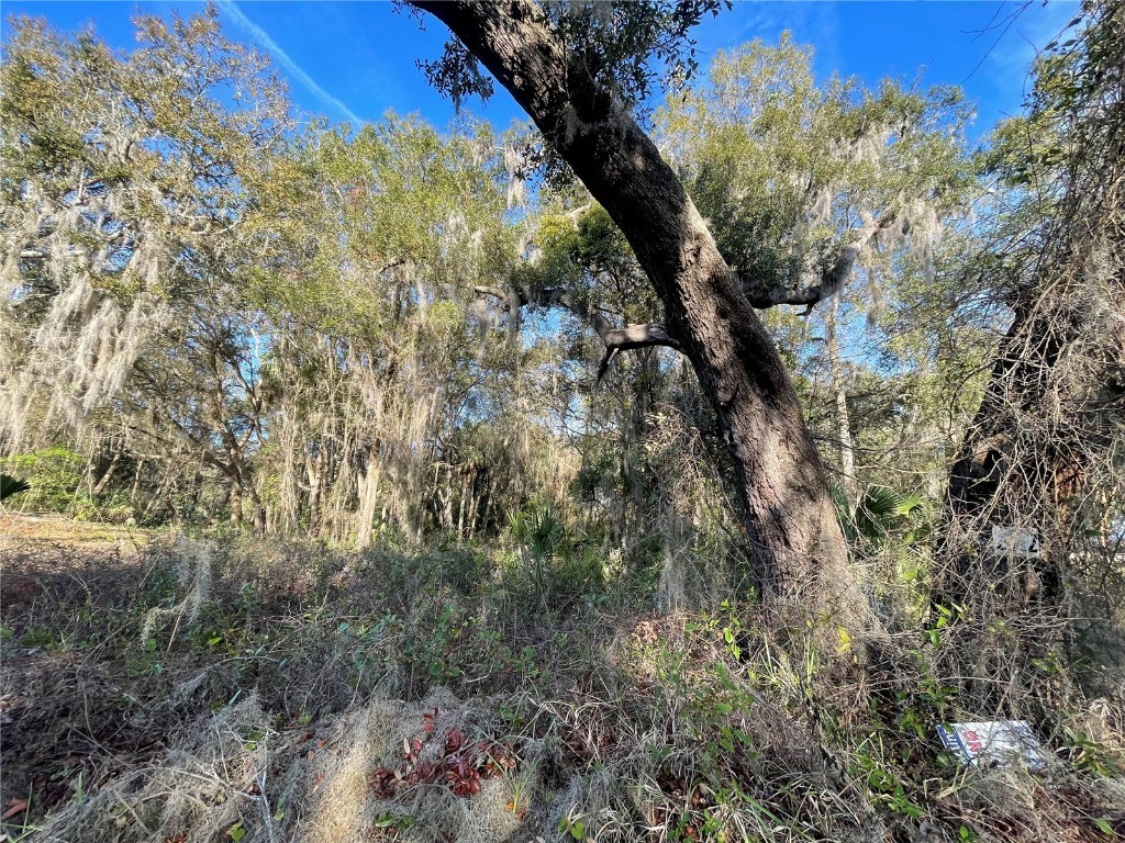 LOT 222 Ashley Street Hawthorne FL 32640 GC511145 image1