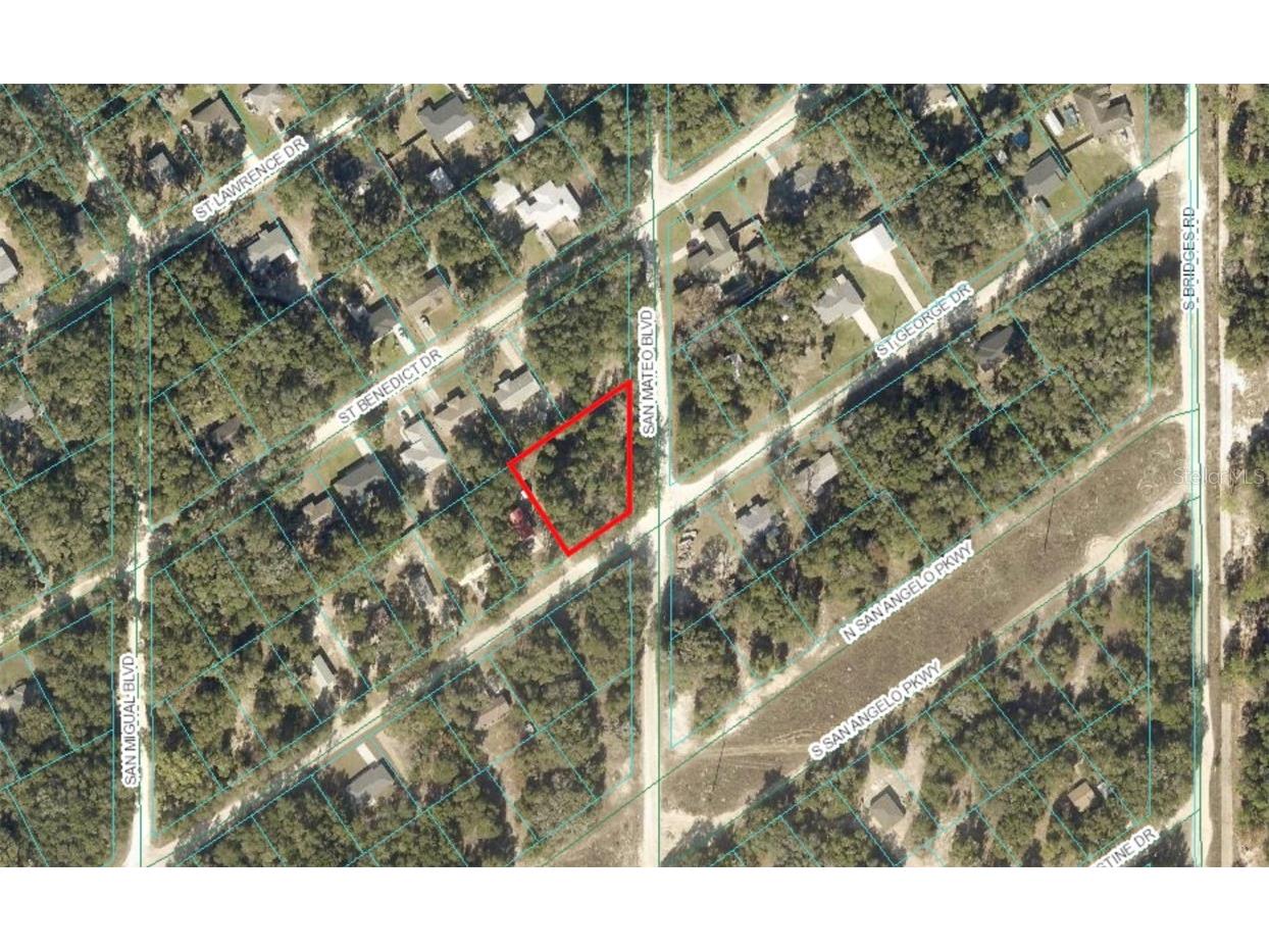 LOT #228 & #229 St. George Drive & San Mateo Boulevard Dunnellon FL 34432 OM698083 image1