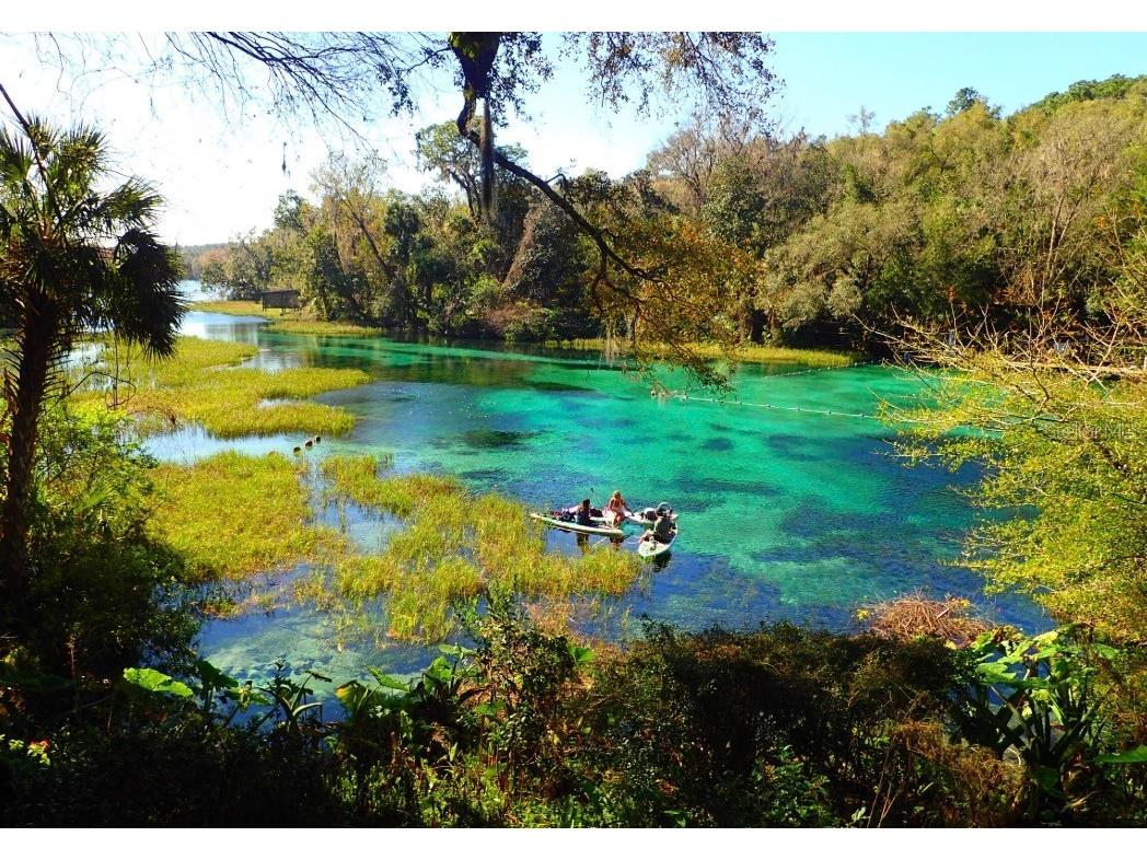 LOT #228 & #229 St. George Drive & San Mateo Boulevard Dunnellon FL 34432 OM698083 image3