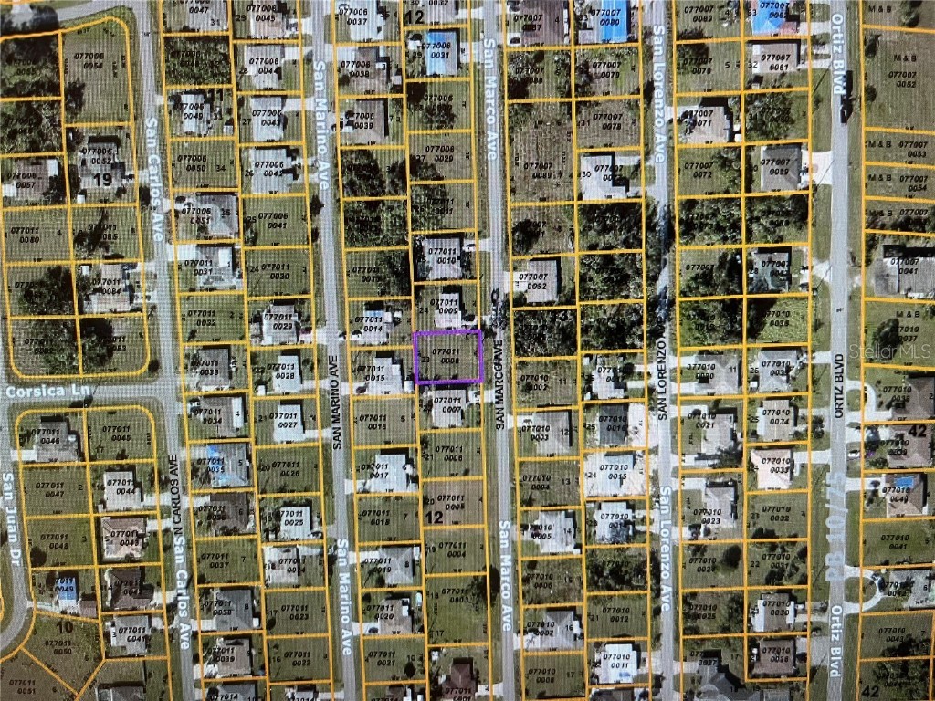LOT 23 San Marco Avenue North Port FL 34287 N6141625 image3