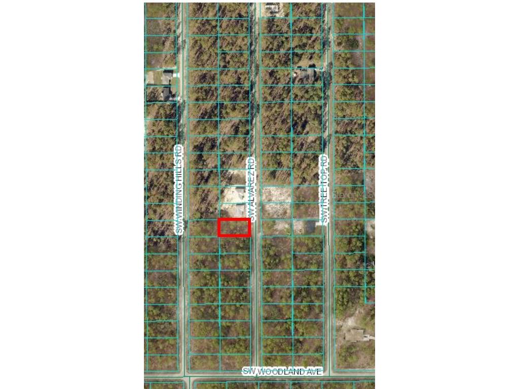 LOT 23 SW Alvarez Road Dunnellon FL 34431 - LAKE BONABLE LITTLE BONABLE & TIGERLAKE OM677860 image1