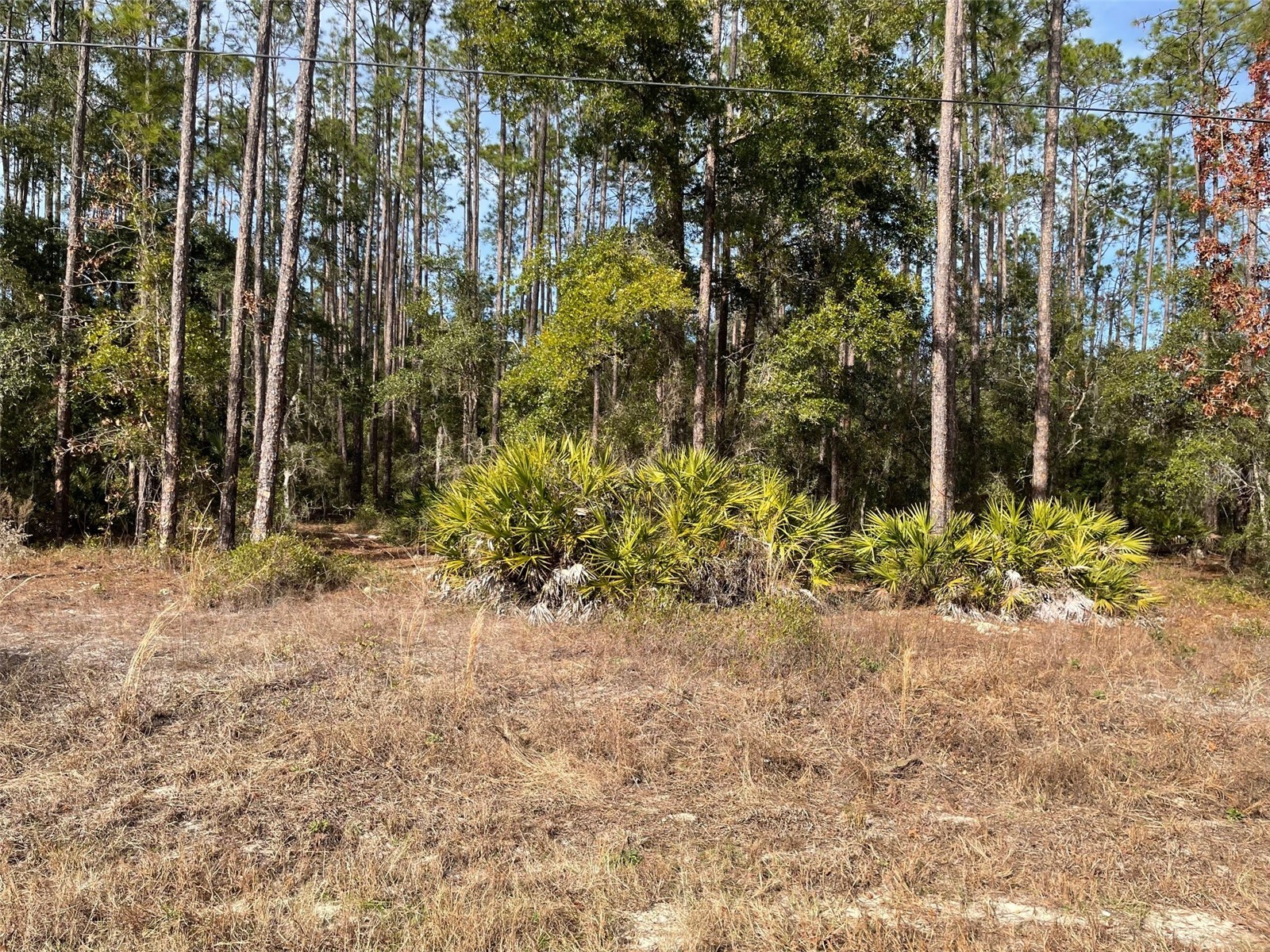 LOT 23 SW Tiger Lake Boulevard W Dunnellon FL 34431 OM711785 image1