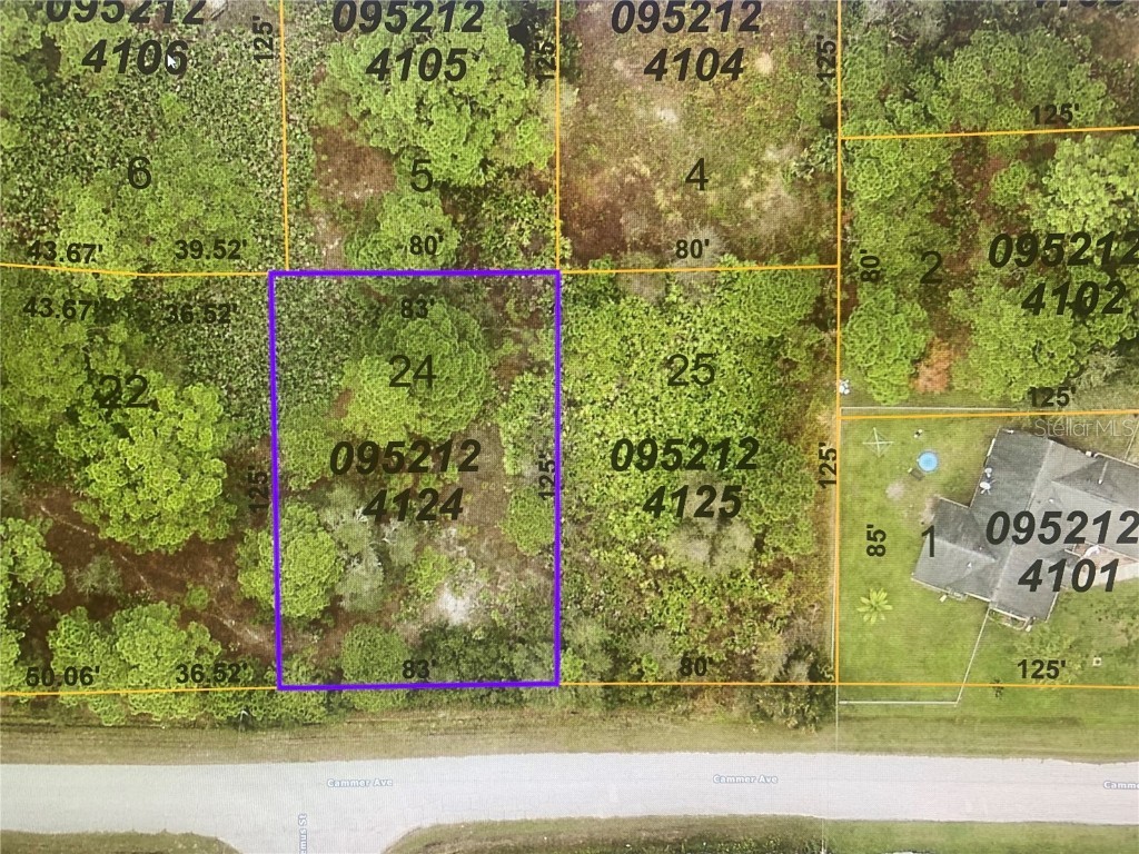LOT 24 Cammer Avenue North Port FL 34291 N6117381 image1