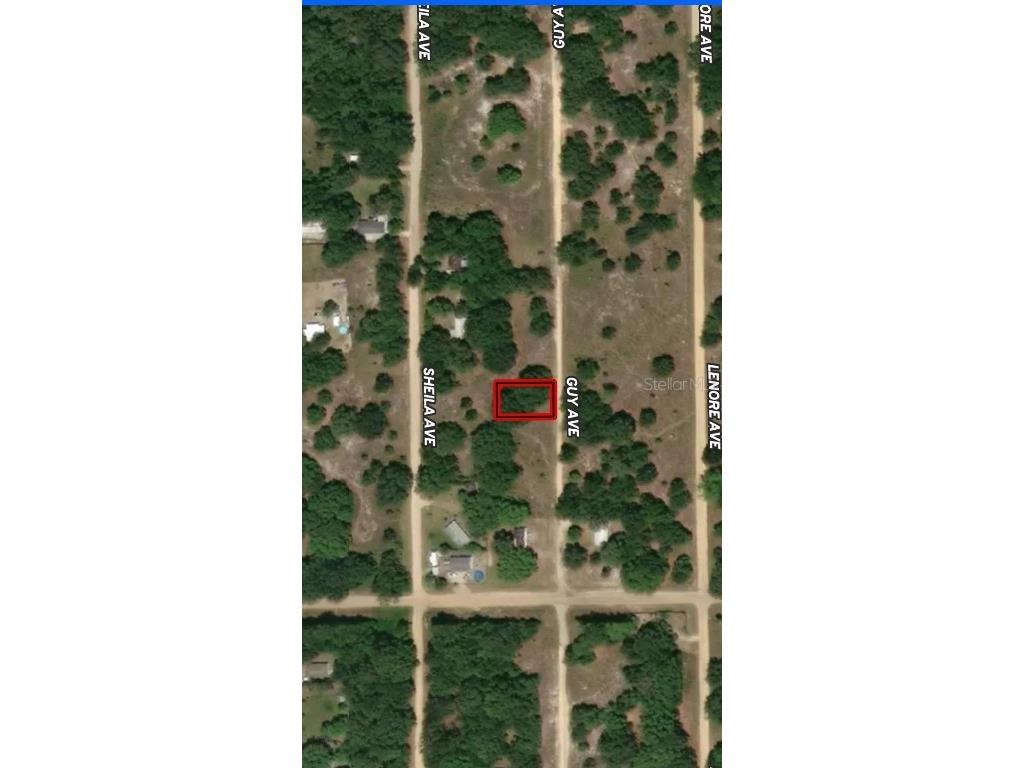 LOT 24 Guy Avenue Interlachen FL 32148 OM710327 image1