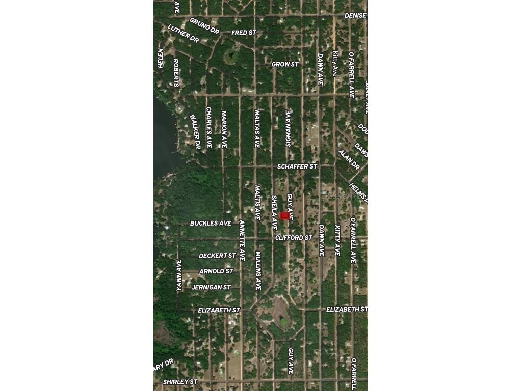 LOT 24 Guy Avenue Interlachen FL 32148 OM710327 image2