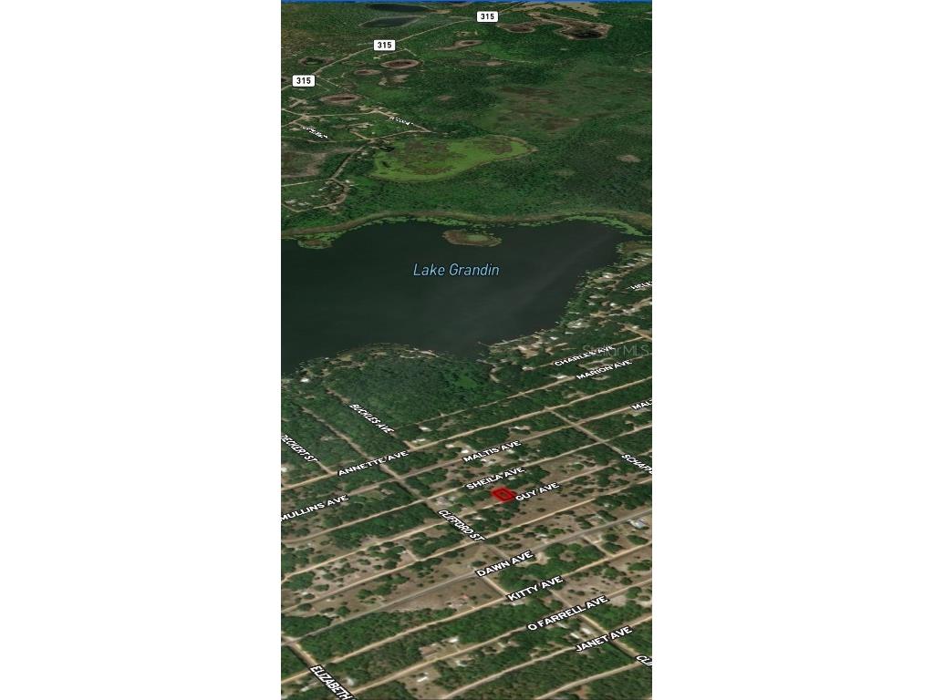 LOT 24 Guy Avenue Interlachen FL 32148 OM710327 image4