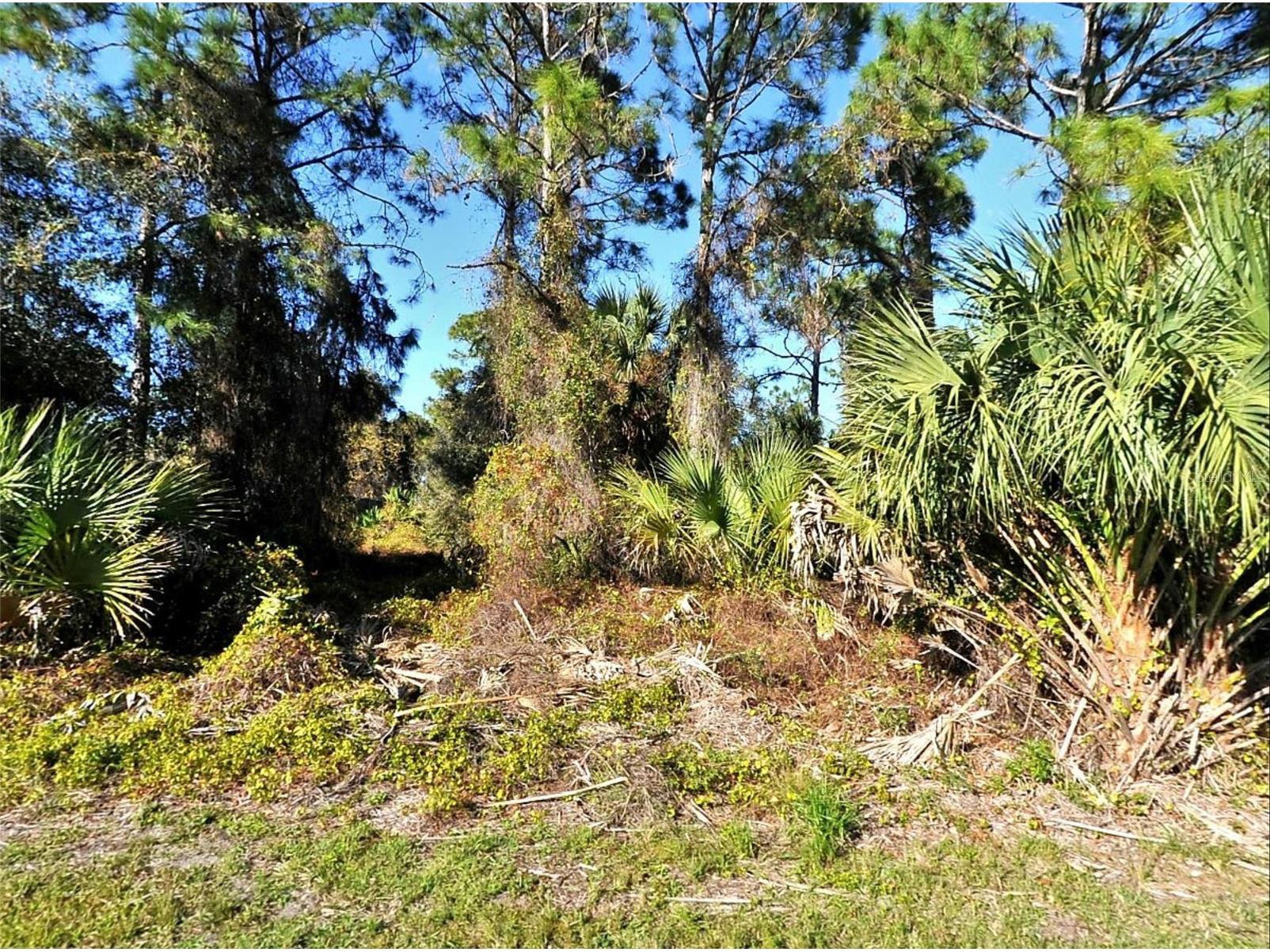 LOT 24 Renfro Avenue North Port FL 34286 C7506882 image1