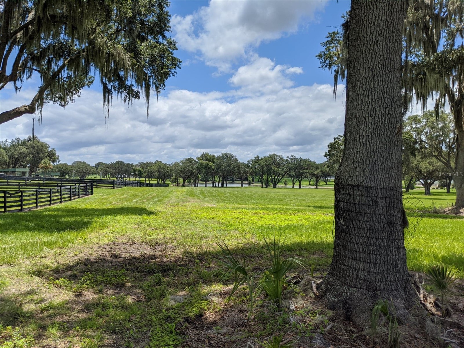 LOT 25 SE 159th Lane Summerfield FL 34491 OM725181 image1