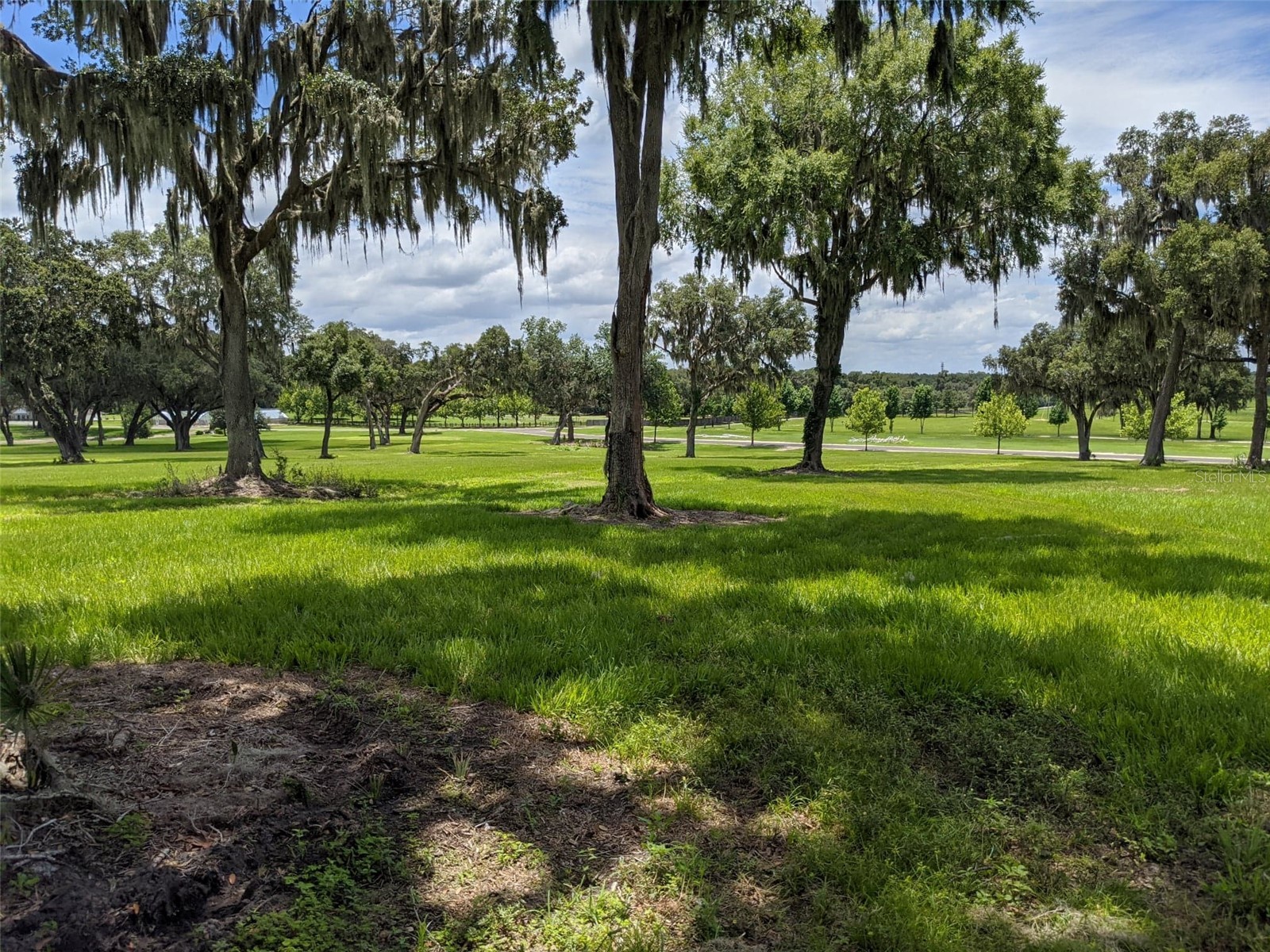 LOT 25 SE 159th Lane Summerfield FL 34491 OM725181 image2