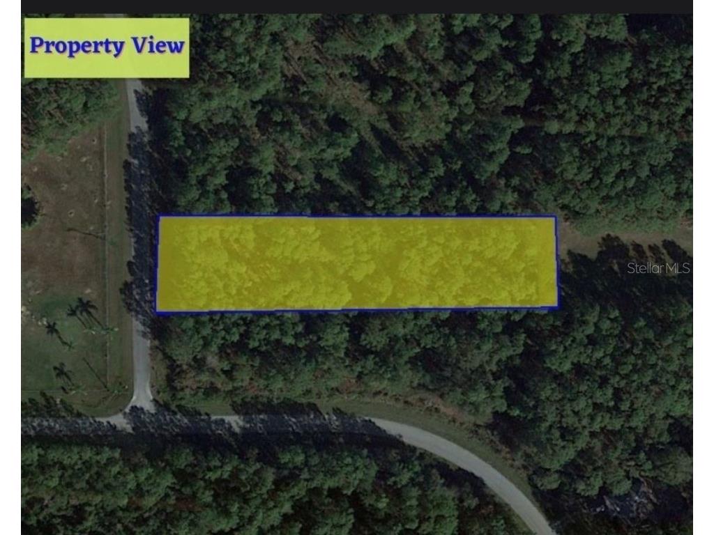 LOT 250 Florida Jay Lane Frostproof FL 33843 OM661400 image1