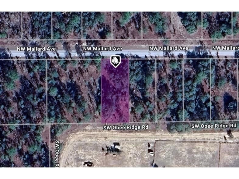 LOT 27 NW Mallard Avenue Dunnellon FL 34431 OM713605 image1