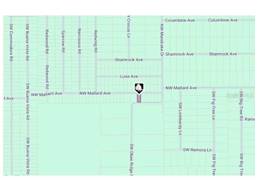 LOT 27 NW Mallard Avenue Dunnellon FL 34431 OM713605 image2