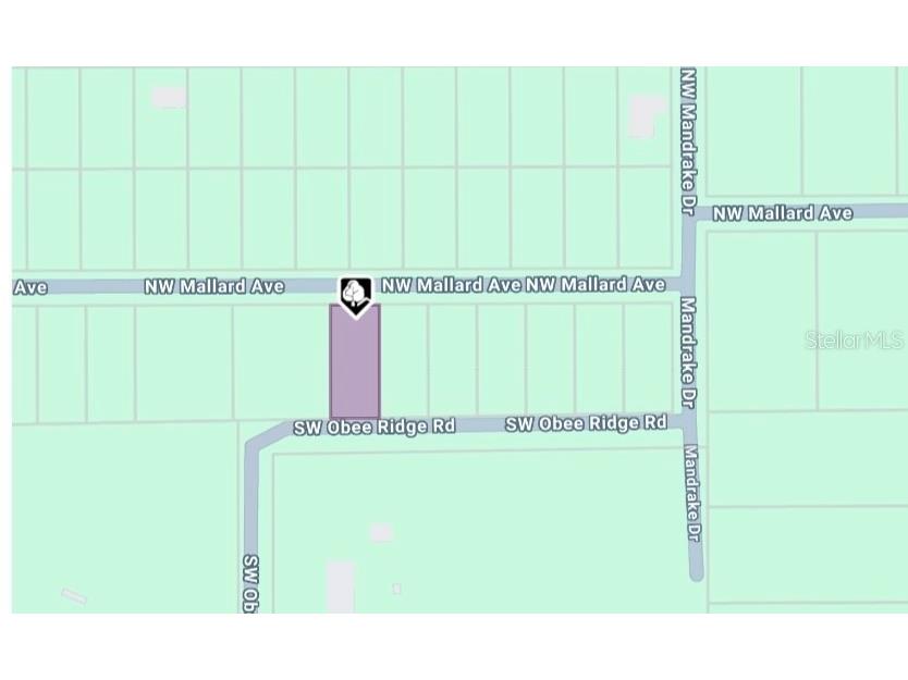 LOT 27 NW Mallard Avenue Dunnellon FL 34431 OM713605 image3