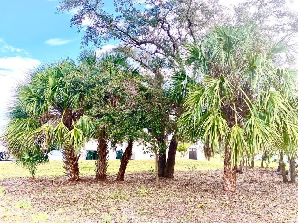 LOT 27 S Biscayne Drive North Port FL 34287 N6133726 image3