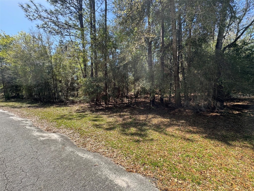 LOT 27 SW 213th Court Dunnellon FL 34431 OM672651 image1