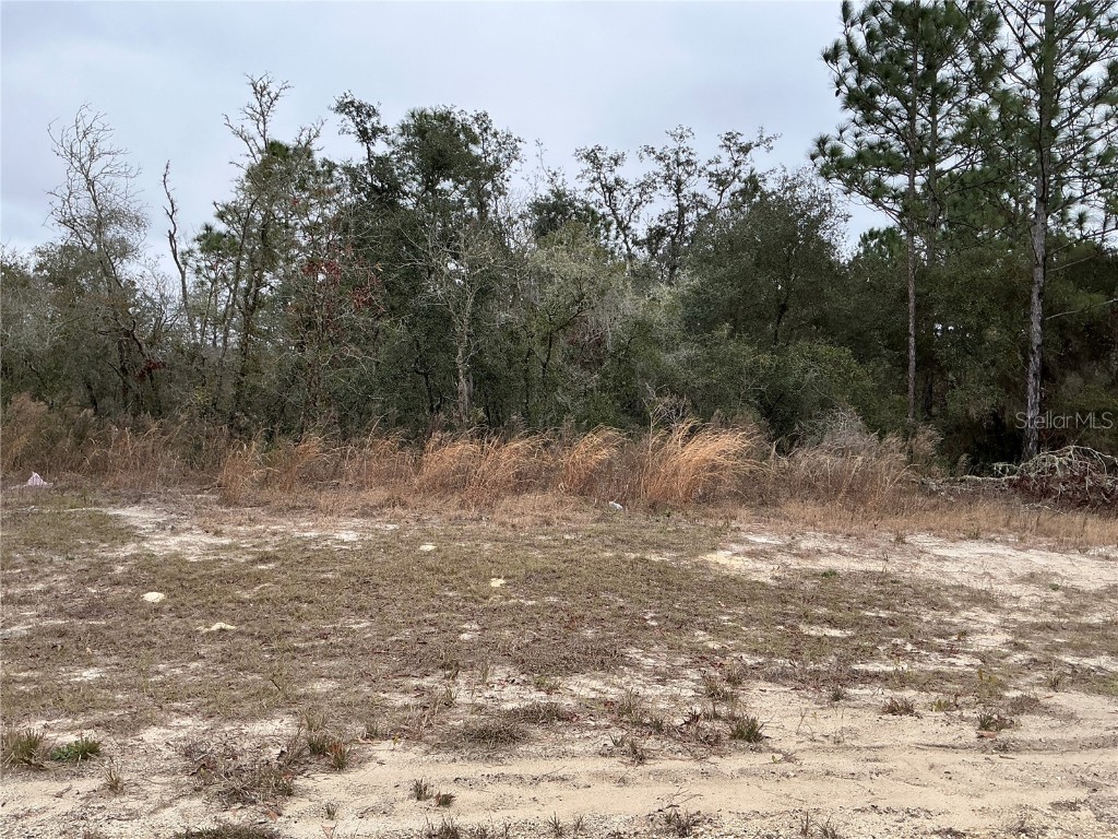 LOT 27 SW 77th Avenue Ocala FL 34473 OM709326 image1