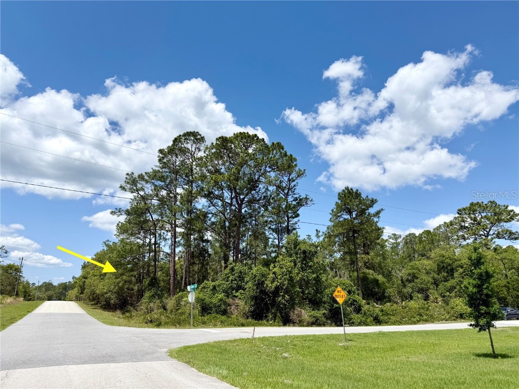 LOT 28 Alder Court Eustis FL 32736 - LAKE NORRIS G5095525 image1