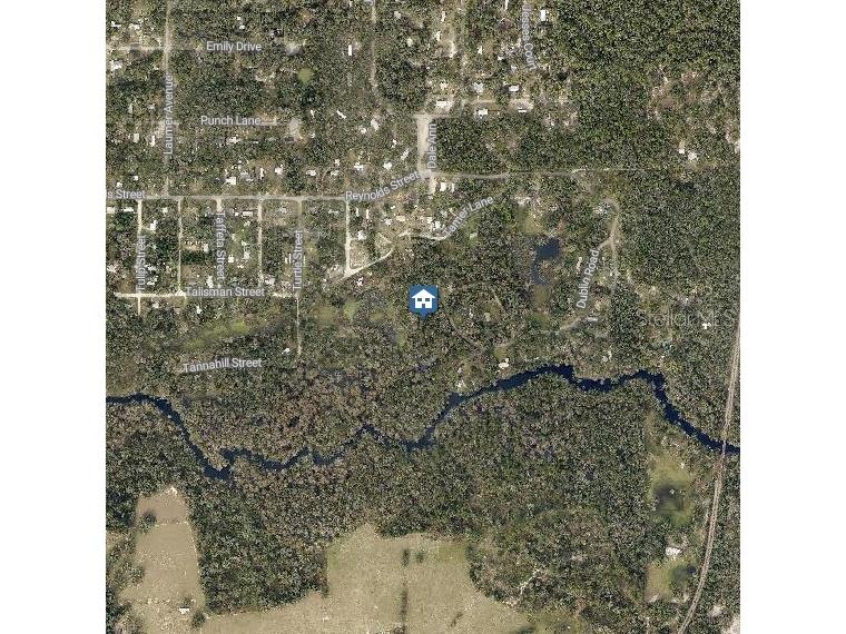 LOT 28 Barth Road Dade City FL 33523 W7880278 image3