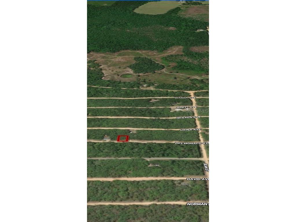 LOT 28 Del Monaco Avenue Interlachen FL 32148 OM710449 image2