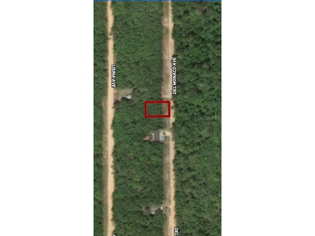 LOT 28 Del Monaco Avenue Interlachen FL 32148 OM710449 image3