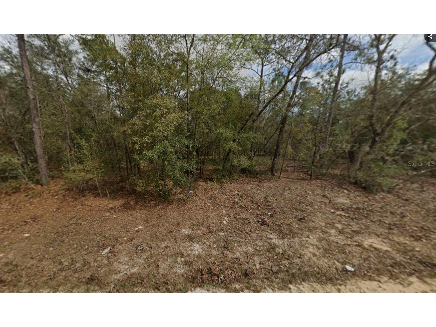 LOT 28 Janet Avenue Interlachen FL 32148 K4903421 image1