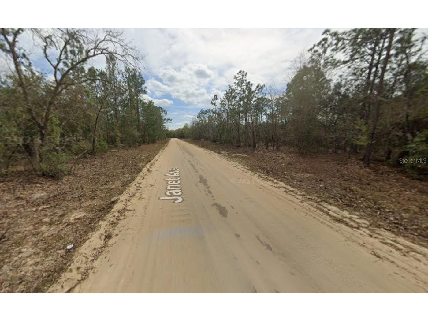 LOT 28 Janet Avenue Interlachen FL 32148 K4903421 image2