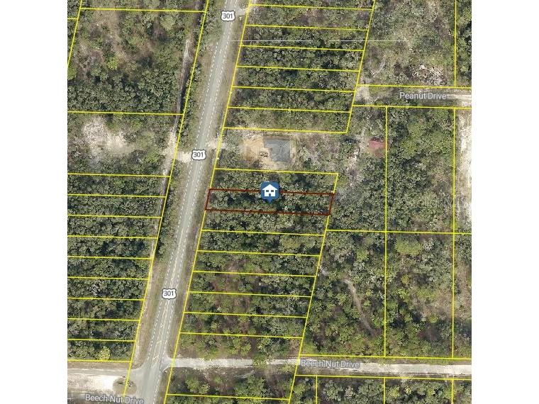LOT 28 Treiman Boulevard Webster FL 33597 W7880628 image1