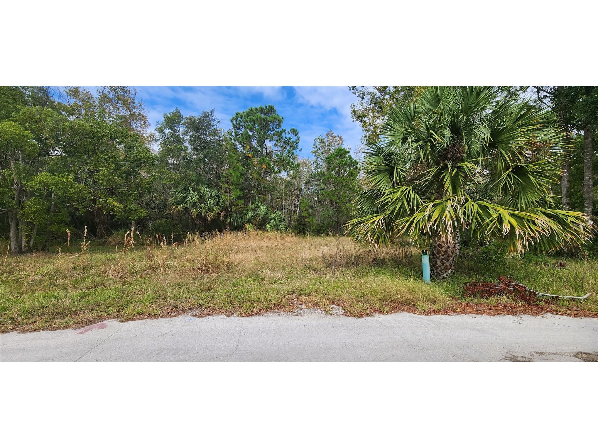 LOT 285 Cutlass Drive Hudson FL 34667 - GULF OF MEXICO W7869823 image3
