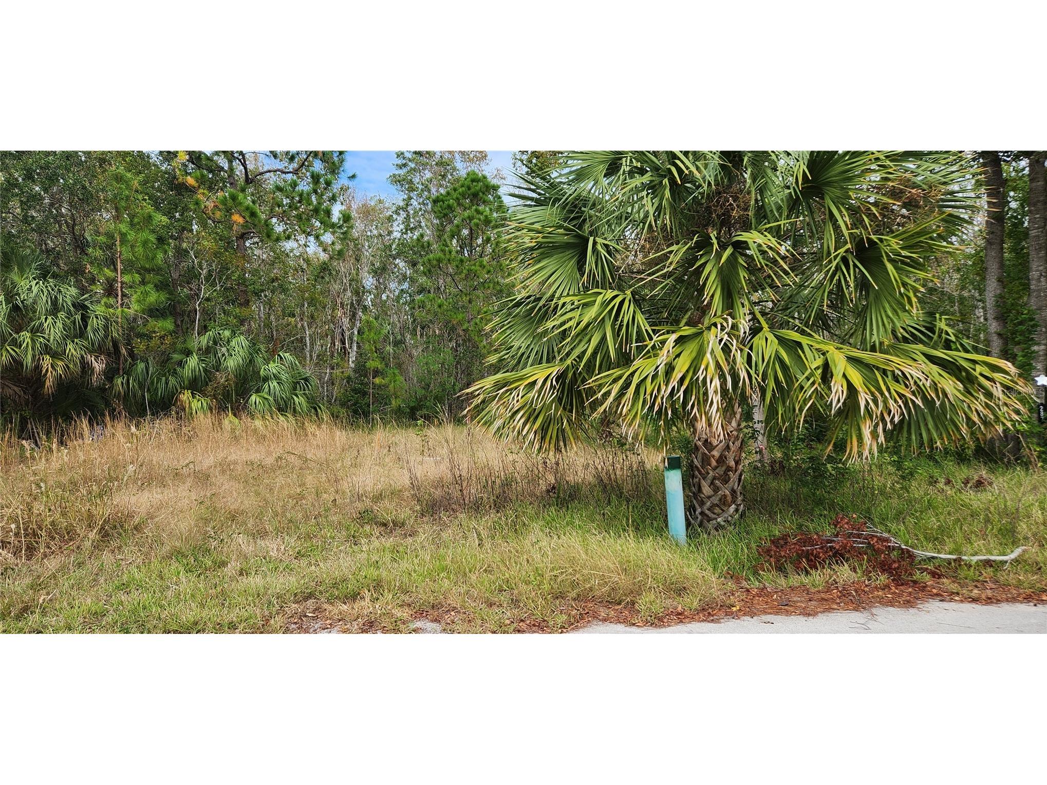 LOT 285 Cutlass Drive Hudson FL 34667 - GULF OF MEXICO W7869823 image4