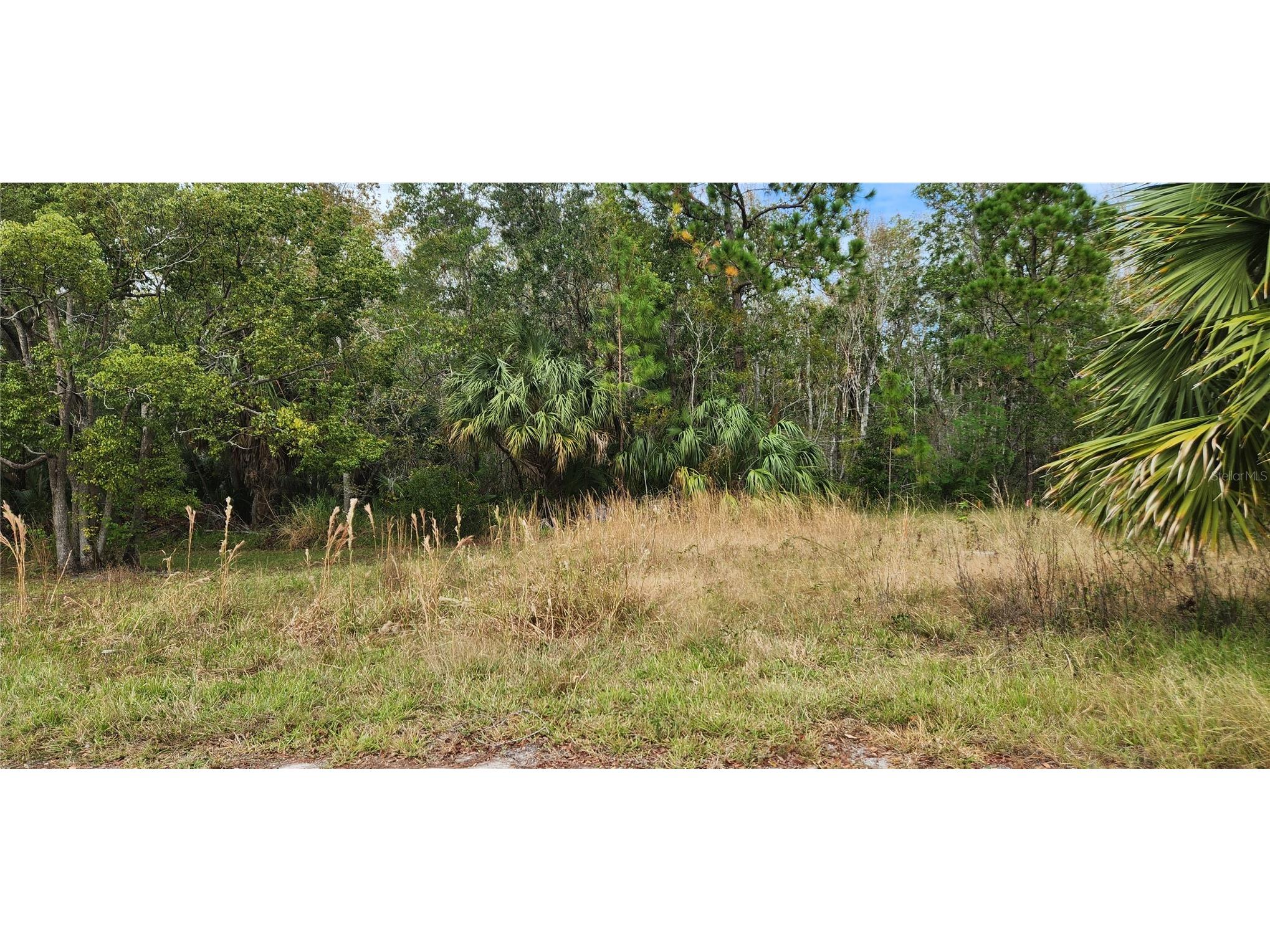 LOT 285 Cutlass Drive Hudson FL 34667 - GULF OF MEXICO W7869823 image7