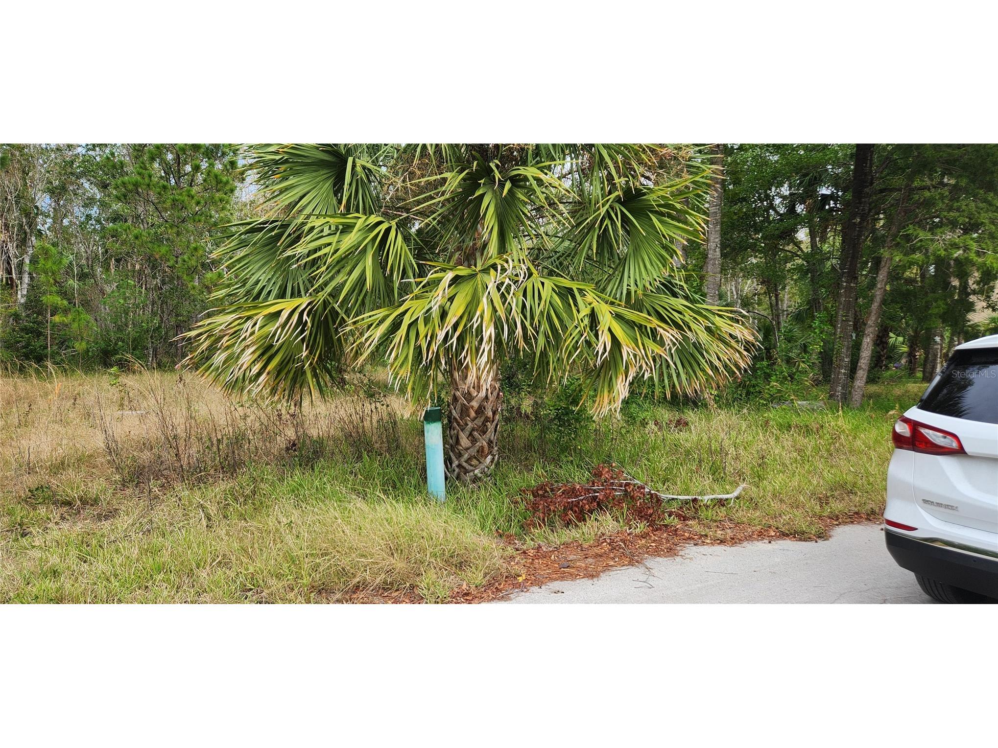 LOT 285 Cutlass Drive Hudson FL 34667 - GULF OF MEXICO W7869823 image8