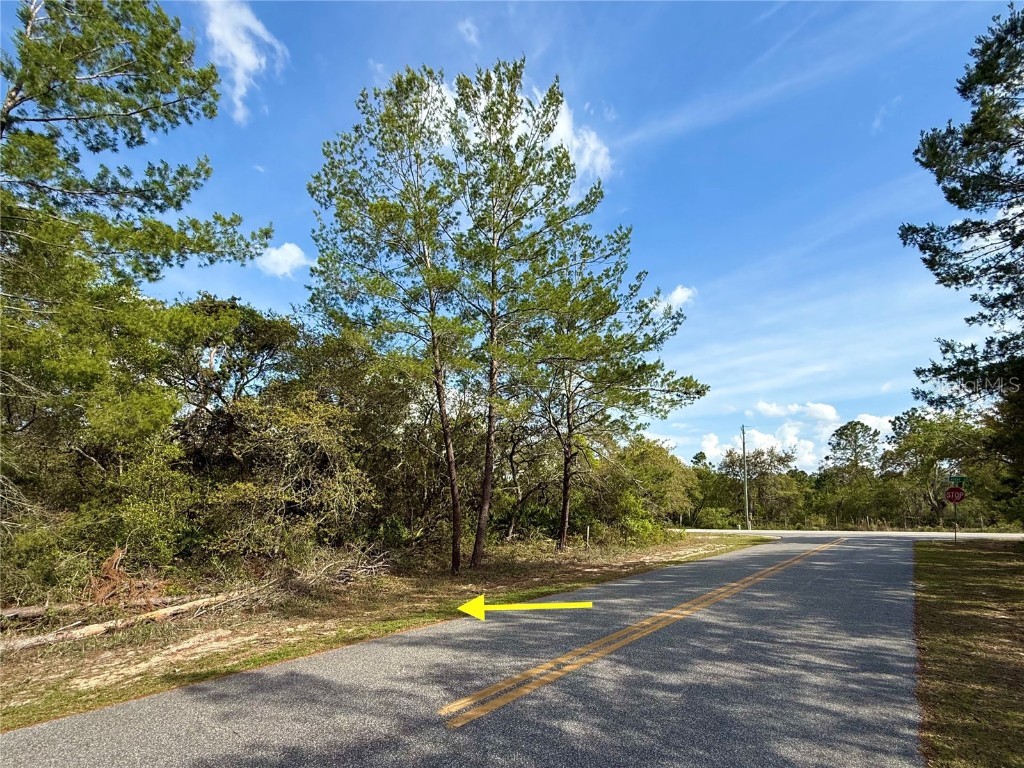 LOT 29 Alder Avenue Eustis FL 32736 - LAKE NORRIS G5095524 image1