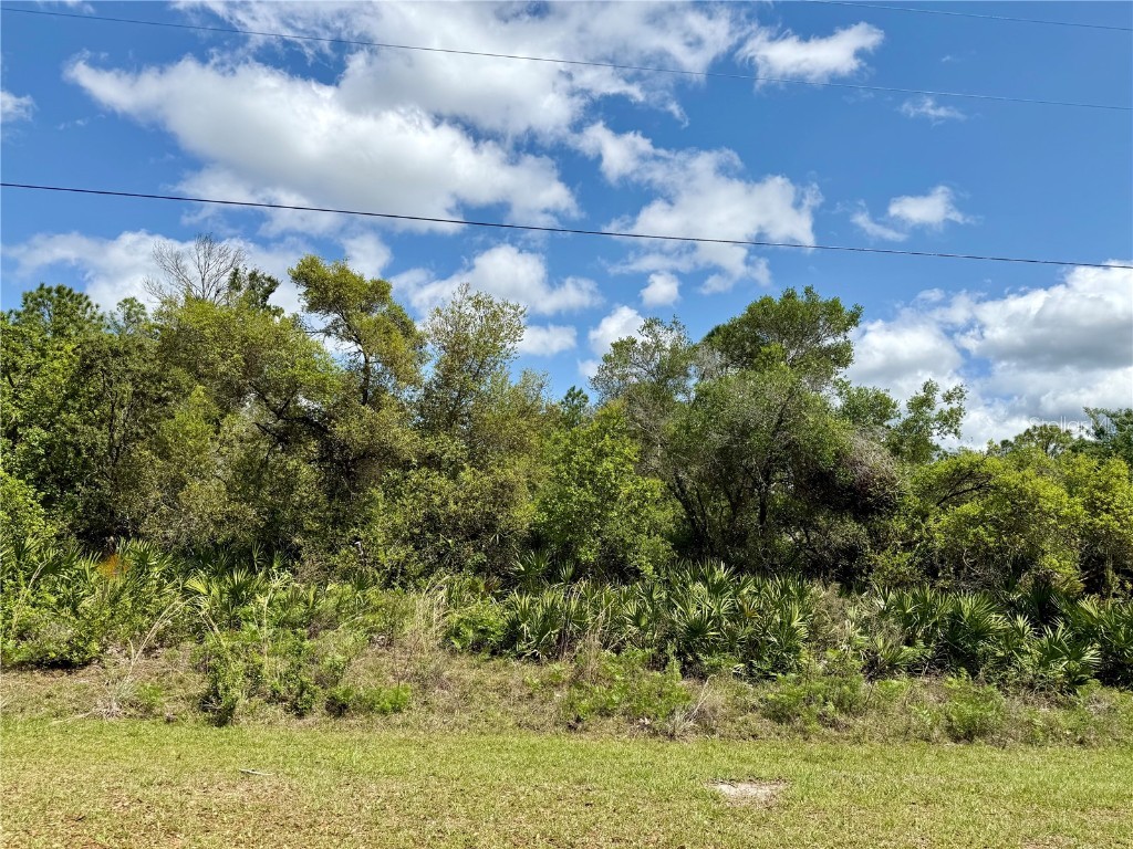 LOT 29 Apricot Avenue Eustis FL 32736 - LAKE NORRIS G5095512 image1