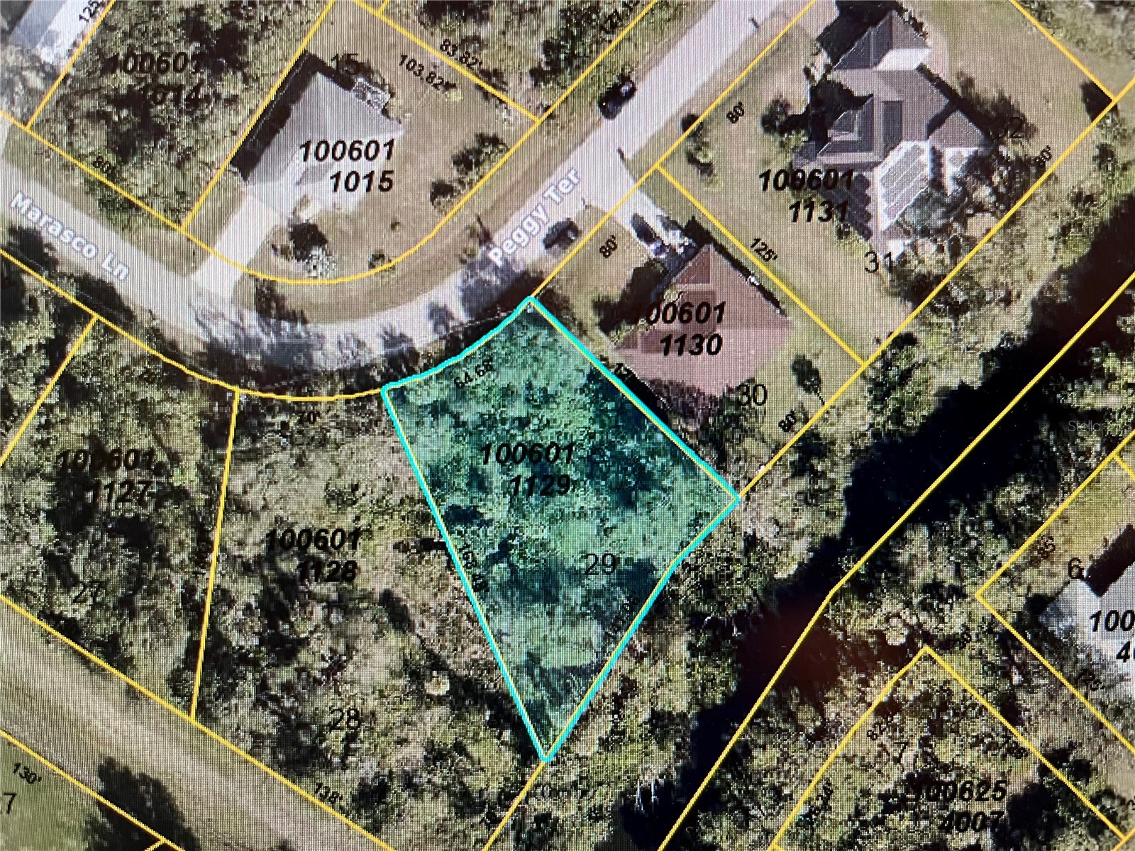 LOT 29 Peggy Terrace North Port FL 34286 N6142069 image1